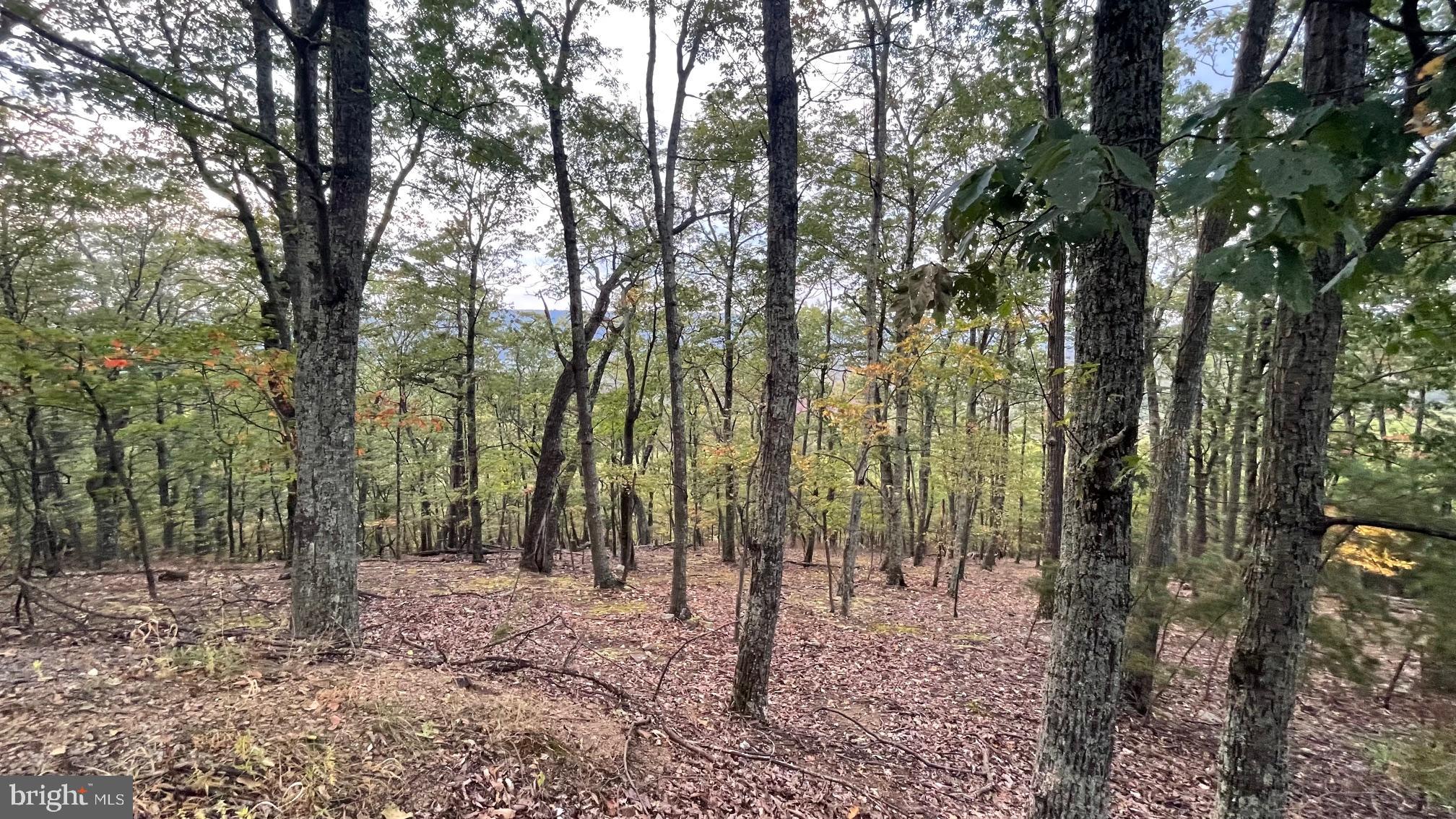 WHITETAIL MOUNTAIN - Land