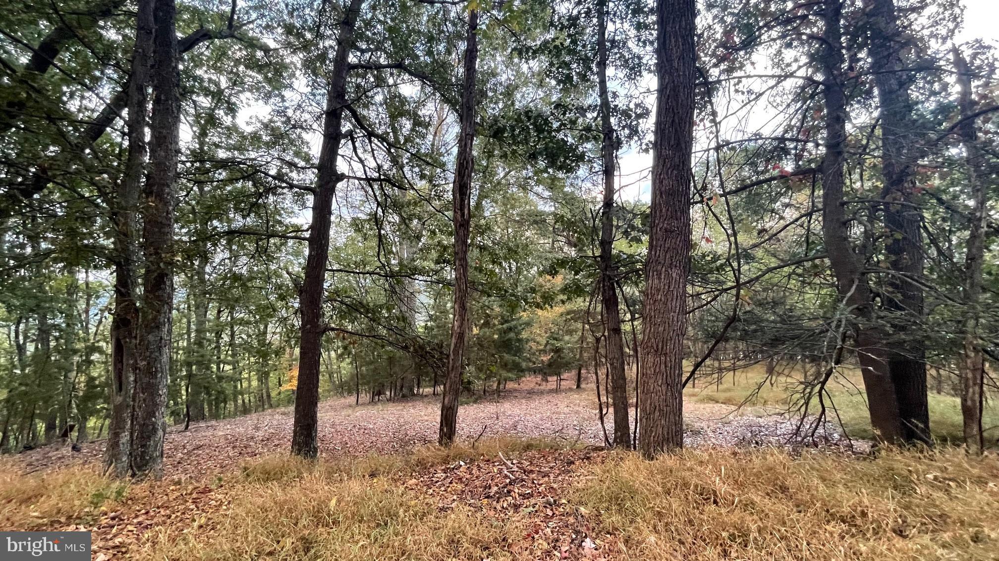 WHITETAIL MOUNTAIN - Land