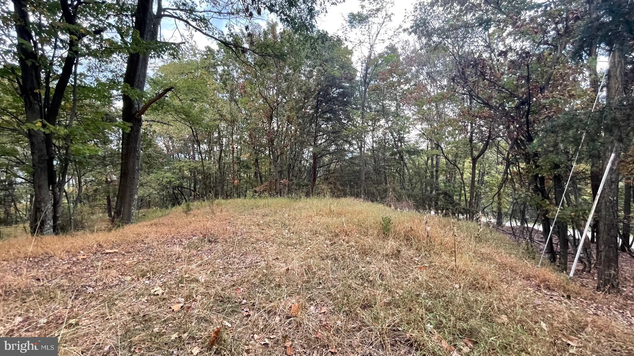 WHITETAIL MOUNTAIN - Land