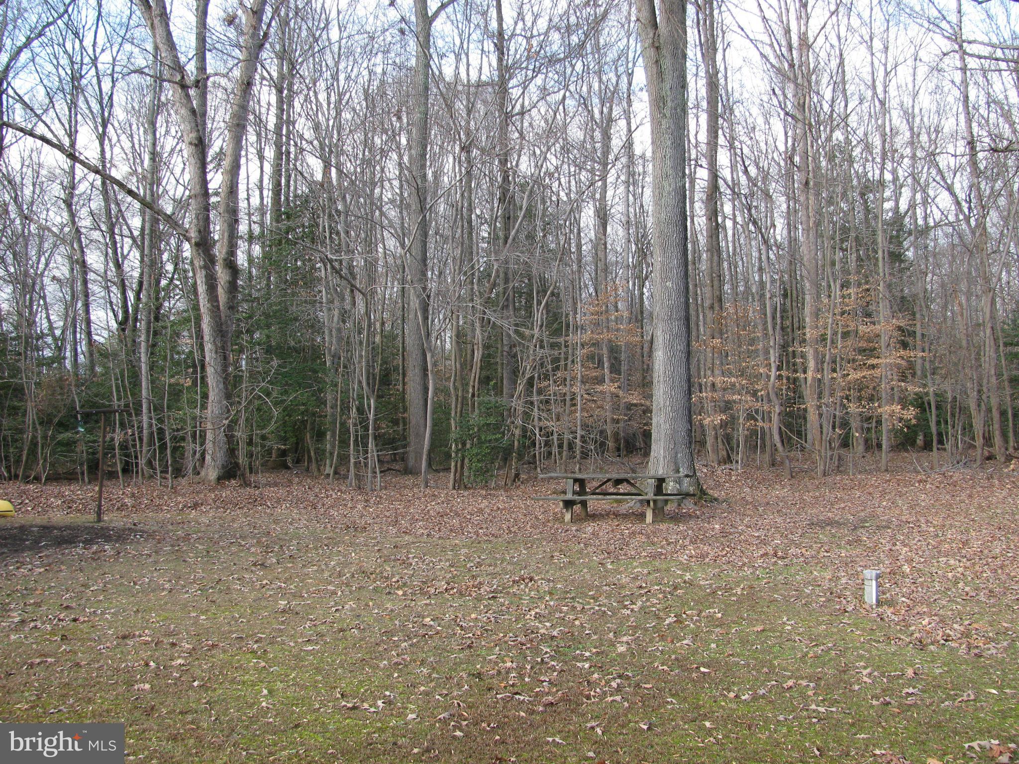 STAFFORDS SUB - Residential Lease