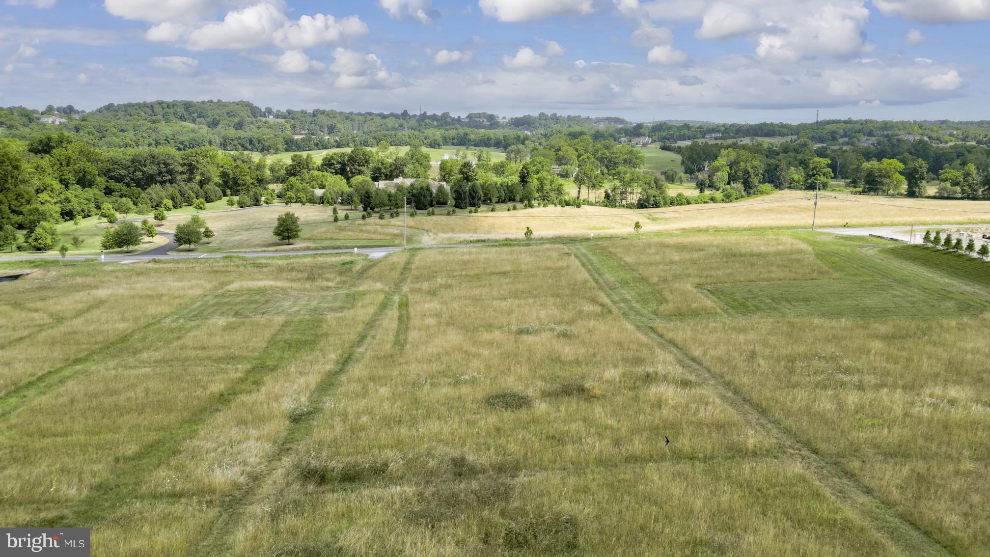 MOWERY ORCHARDS - Land