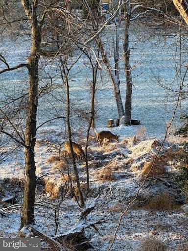 PINEDALE WOODS - Residential