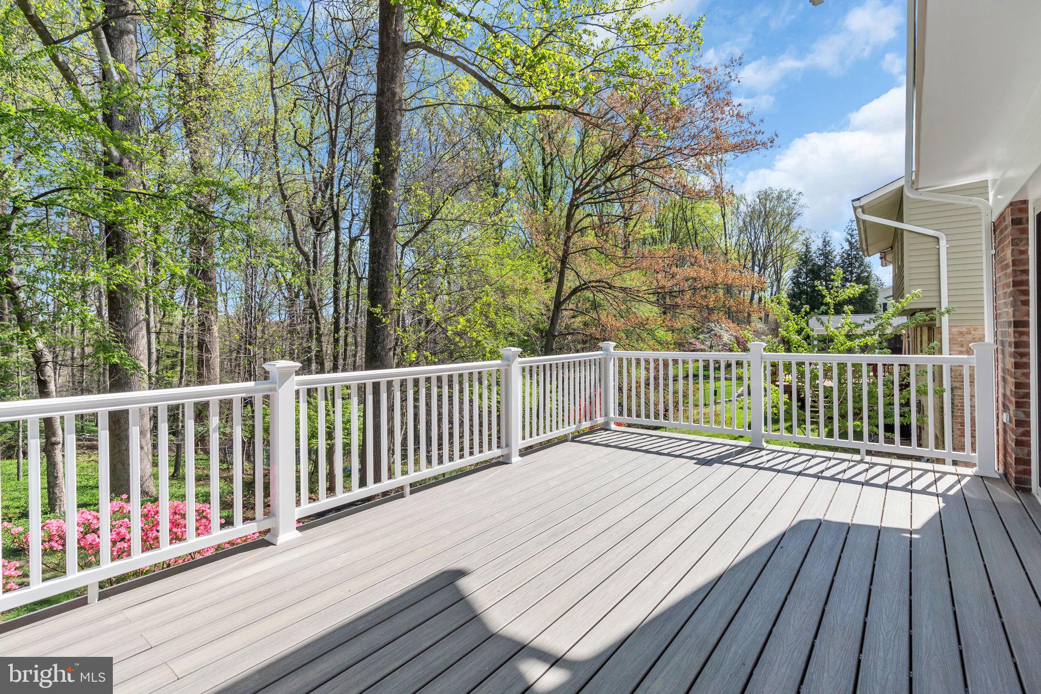 CARDINAL FOREST - Residential