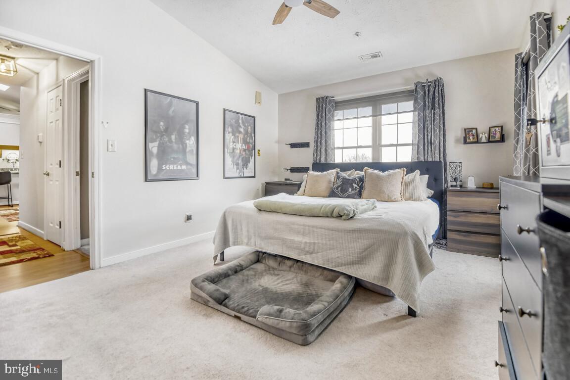 THE POND - Residential