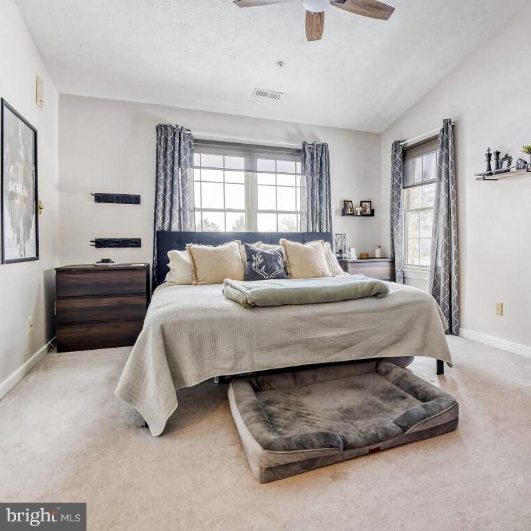 THE POND - Residential