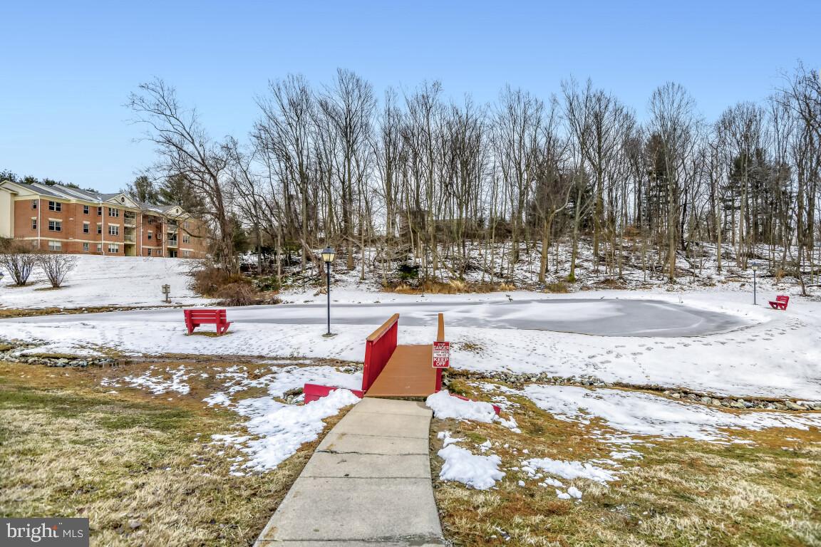 THE POND - Residential