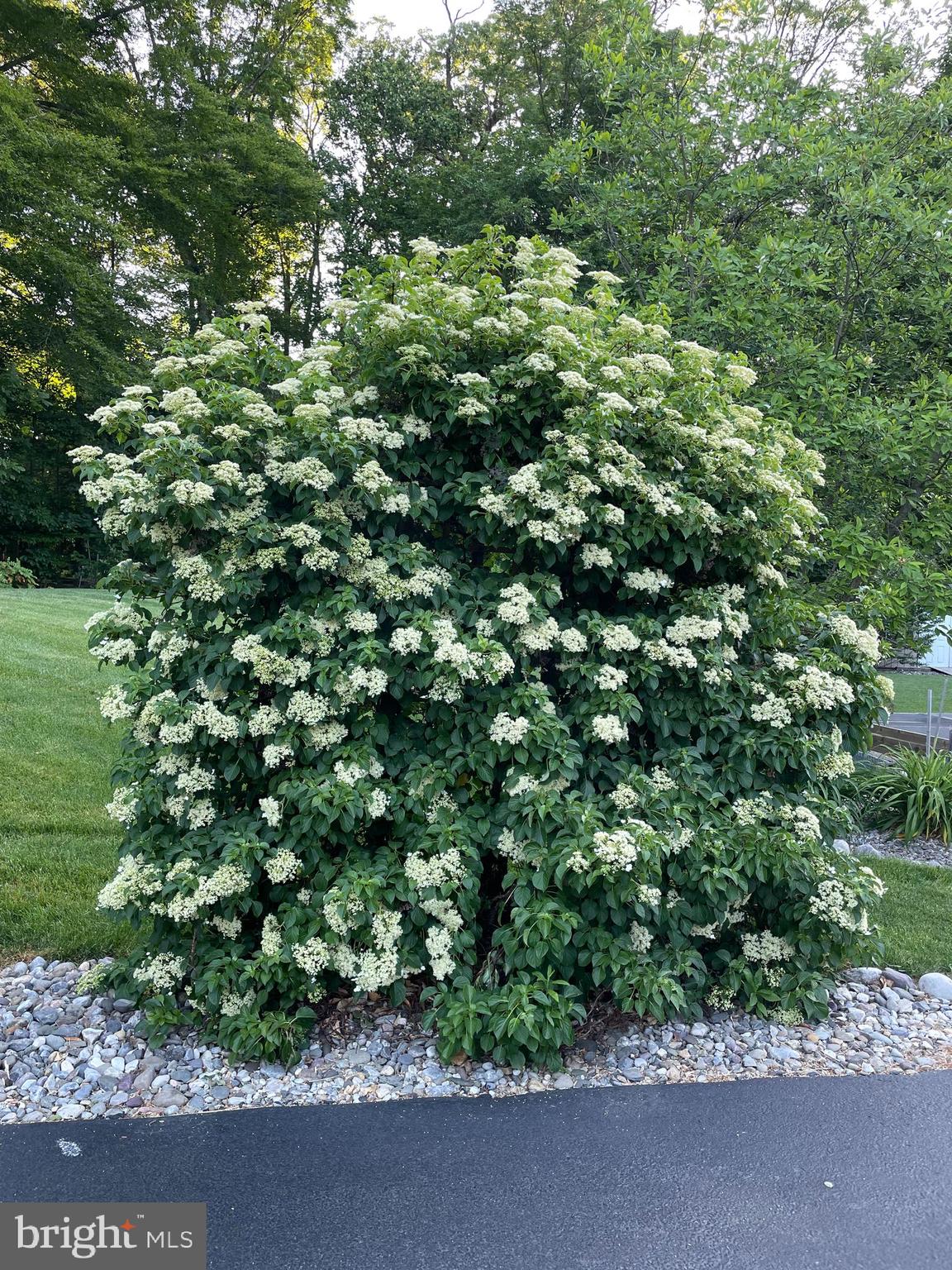 BUCKINGHAM CHASE - Residential