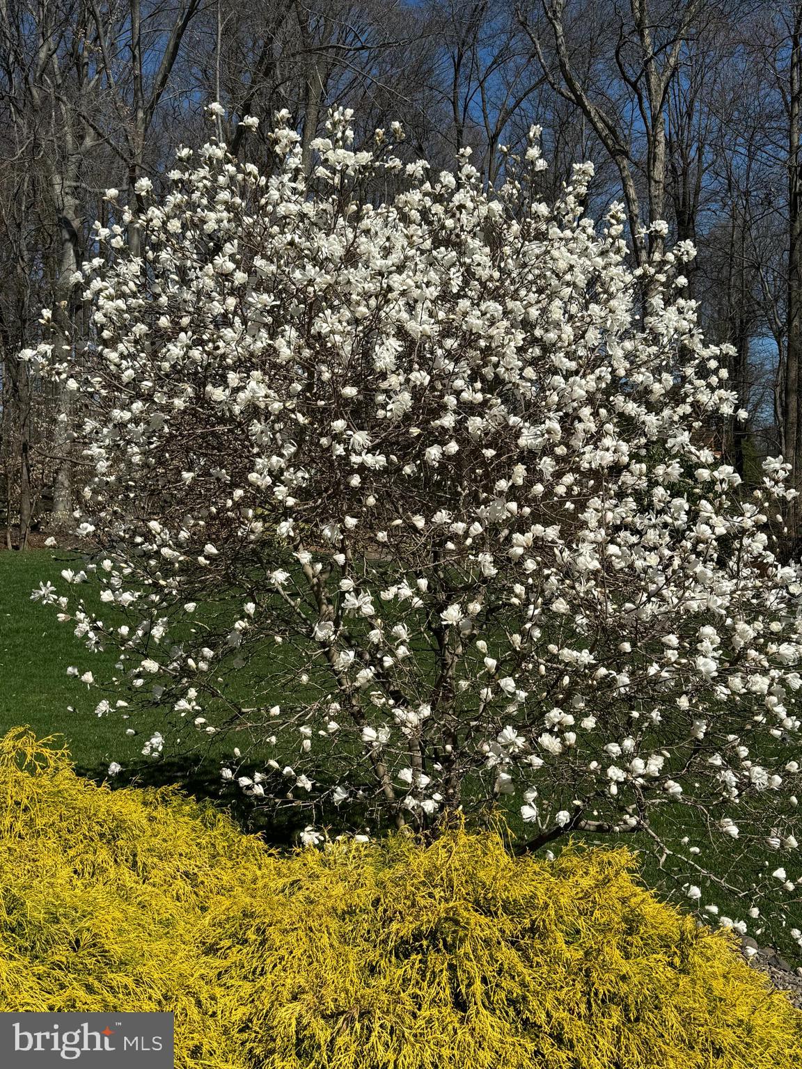 BUCKINGHAM CHASE - Residential