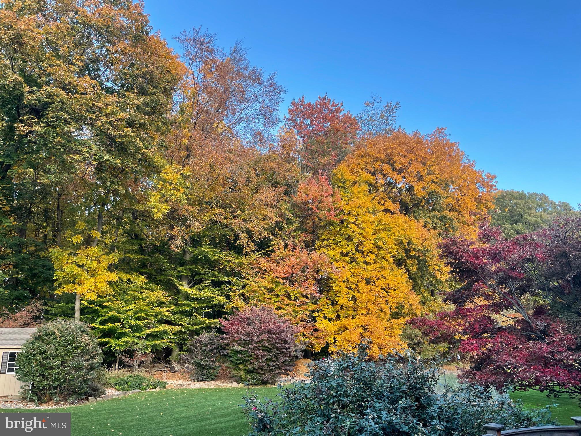 BUCKINGHAM CHASE - Residential
