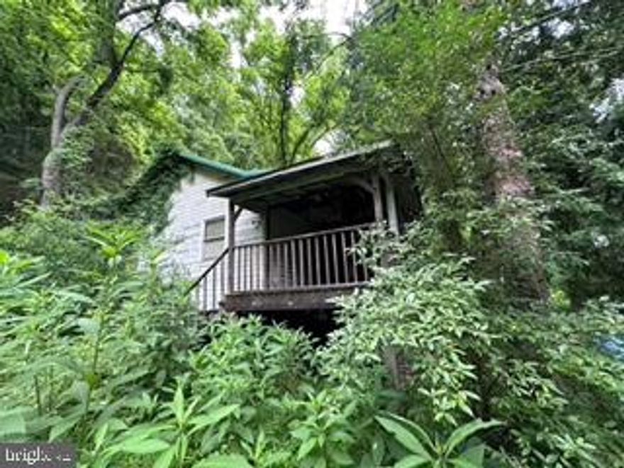SPRINGFIELD, WV – “OLD FAMILY RIVER RETREAT STARTING A NEW CHAPTER”.  RAISED RANCH-STYLE CABIN ON ALMOST 4 UNRESTRICTED ACRES W______FEET OF DIRECT WATER FRONT ON SOUTH BRANCH OF THE POTOMAC RIVER.  OLD WELL PUMP HOUSE. LEVEL TO UPHILLL TOPO.  “IN NEED OF REPAIR” CABIN REQUIRING TOTAL REMODEL INCLUDING ROOF.  SMALL ISLAND IN MIDDLE OF RIVER. BOTH NEIGHBORS WELL ESTABLISHED AND FULL TIME RESIDENTS. CABIN NEVER FLOODED BECAUSE OF HIGHER ELEVATION LOCATION.  THIS IS AN  “AS IS” SALE.  CALL  FOR PRIVATE TOUR TODAY.