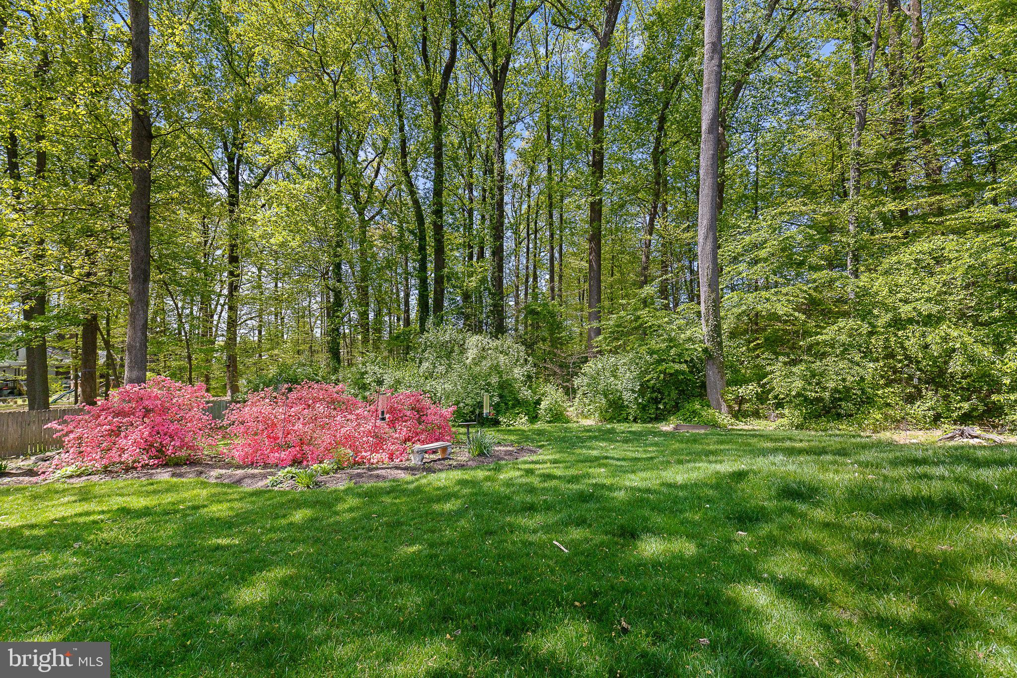 HILLBROOK FOREST - Residential