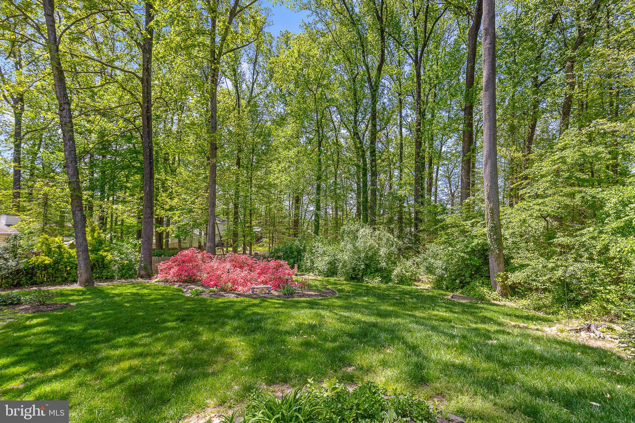 HILLBROOK FOREST - Residential