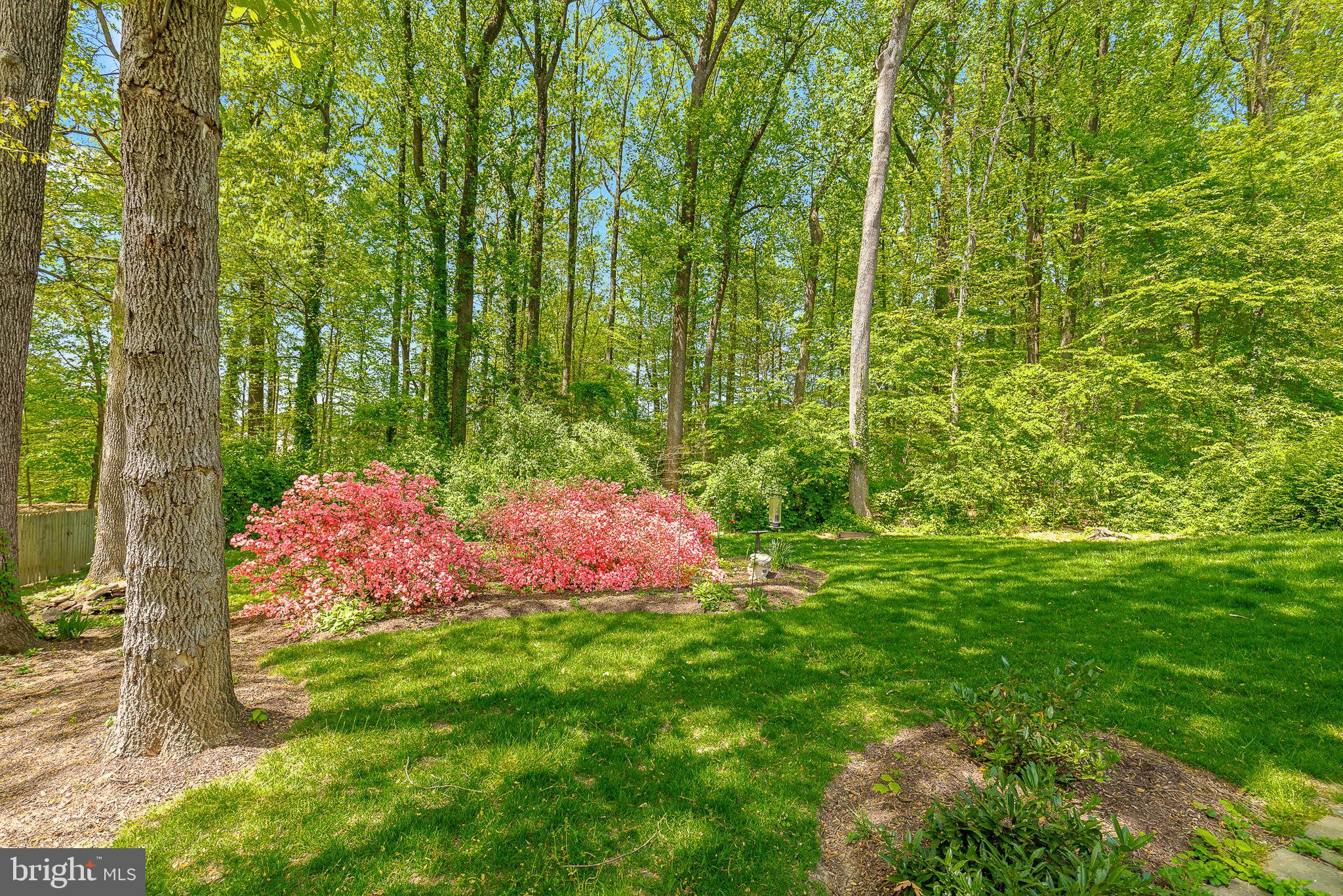 HILLBROOK FOREST - Residential