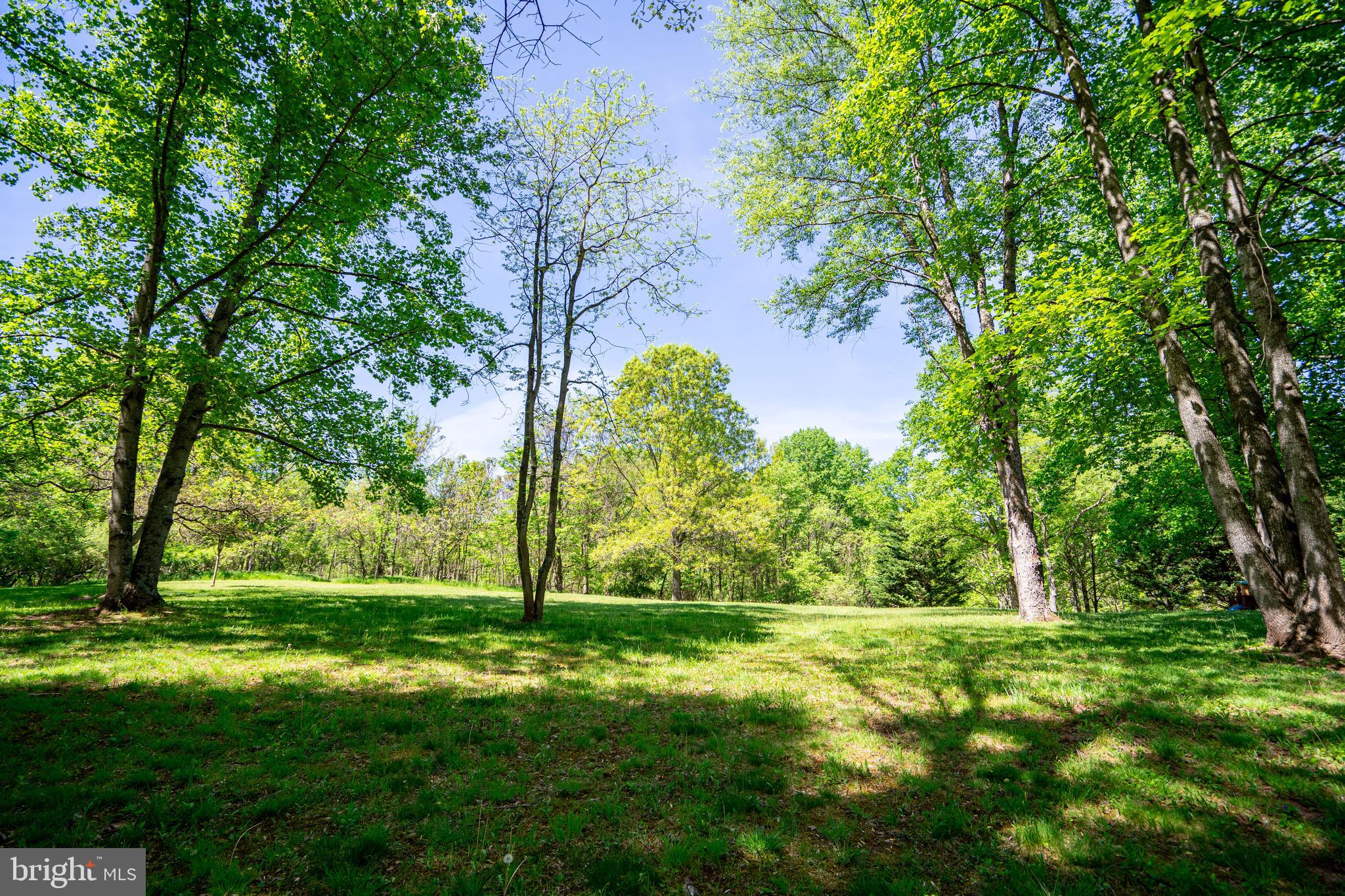 CHESTNUT GROVE - Residential