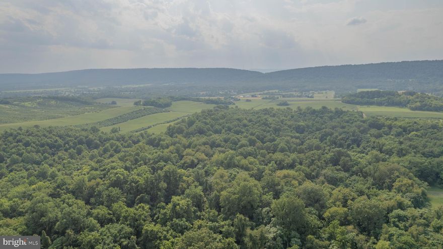 157 acres. Easy access to I 81. Possible subdivision. Close to  Northern VA and DC areas. Cleared fields mixed with woods. Located between on state road Hollis Drive between Tabler Station Rd and Horners Sawmill roads with access from both sides.