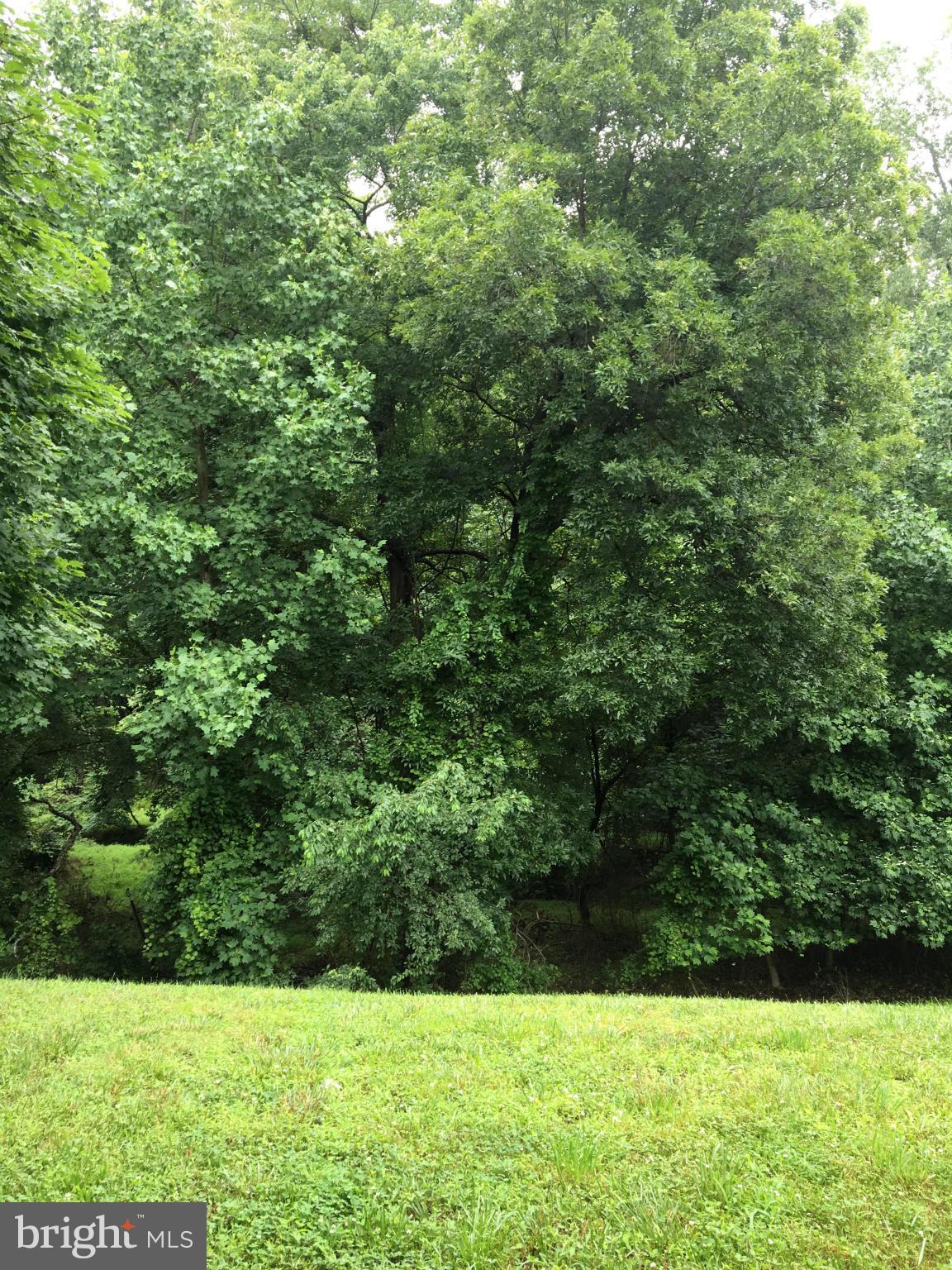 FOXRIDGE - Residential