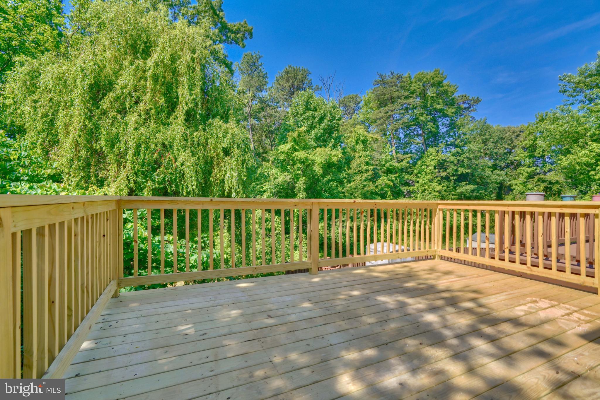 CHESTNUT HILL COVE - Residential