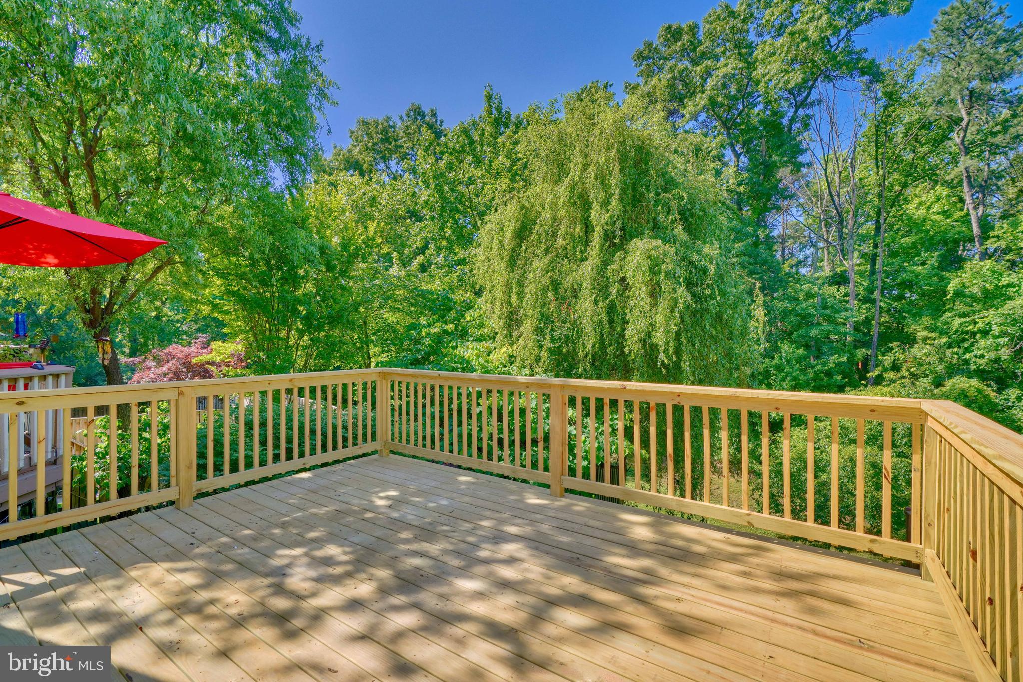 CHESTNUT HILL COVE - Residential