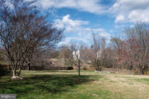 listing image 68