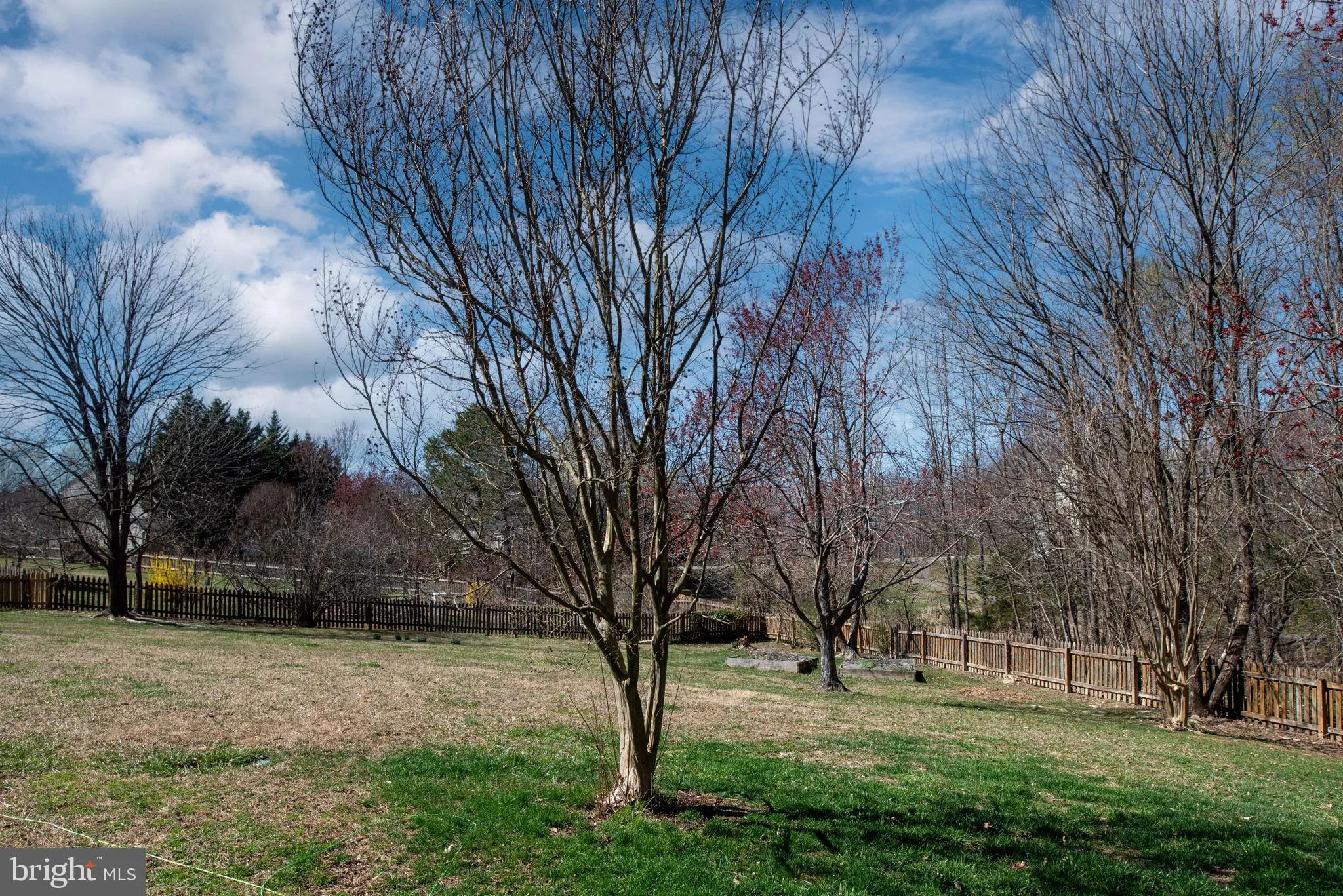 Fredericksburg, Virginia 22405, United States, 4 Bedrooms Bedrooms, ,4 BathroomsBathrooms,Residential,Coming Soon,95183