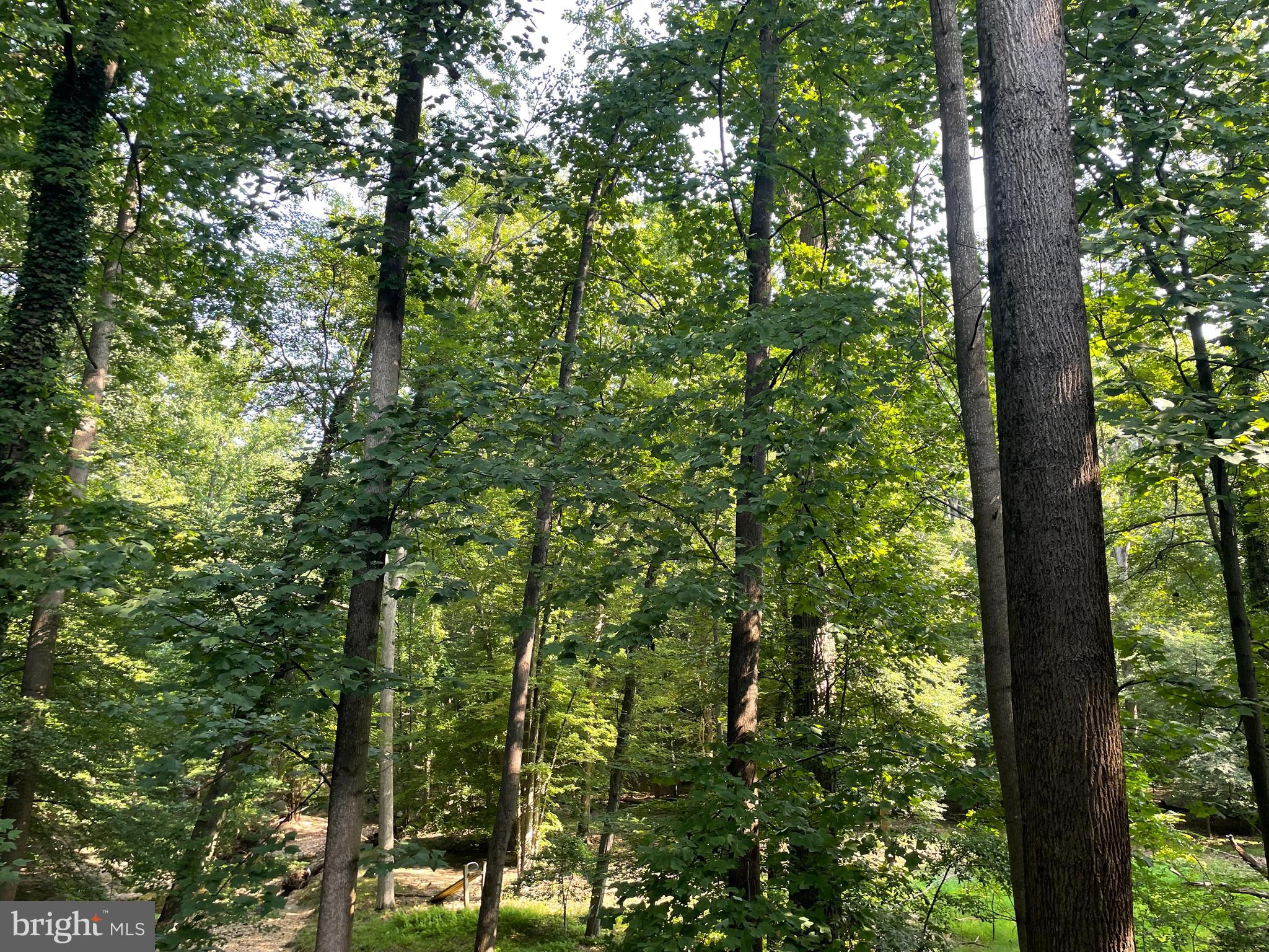 VILLAGE BROOK - Residential