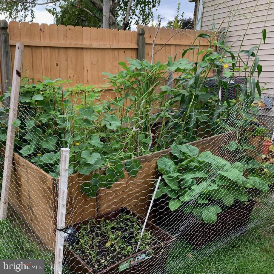 KENSINGTON - Residential