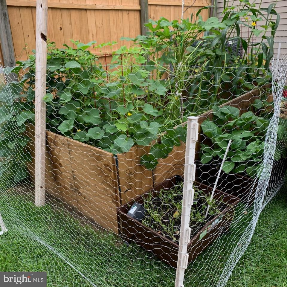 KENSINGTON - Residential