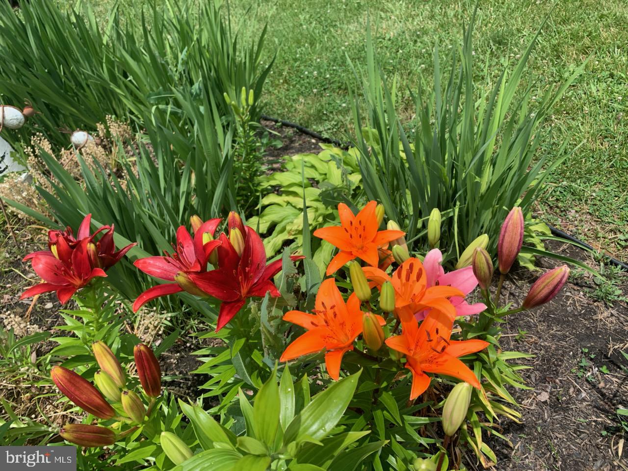 KENSINGTON - Residential