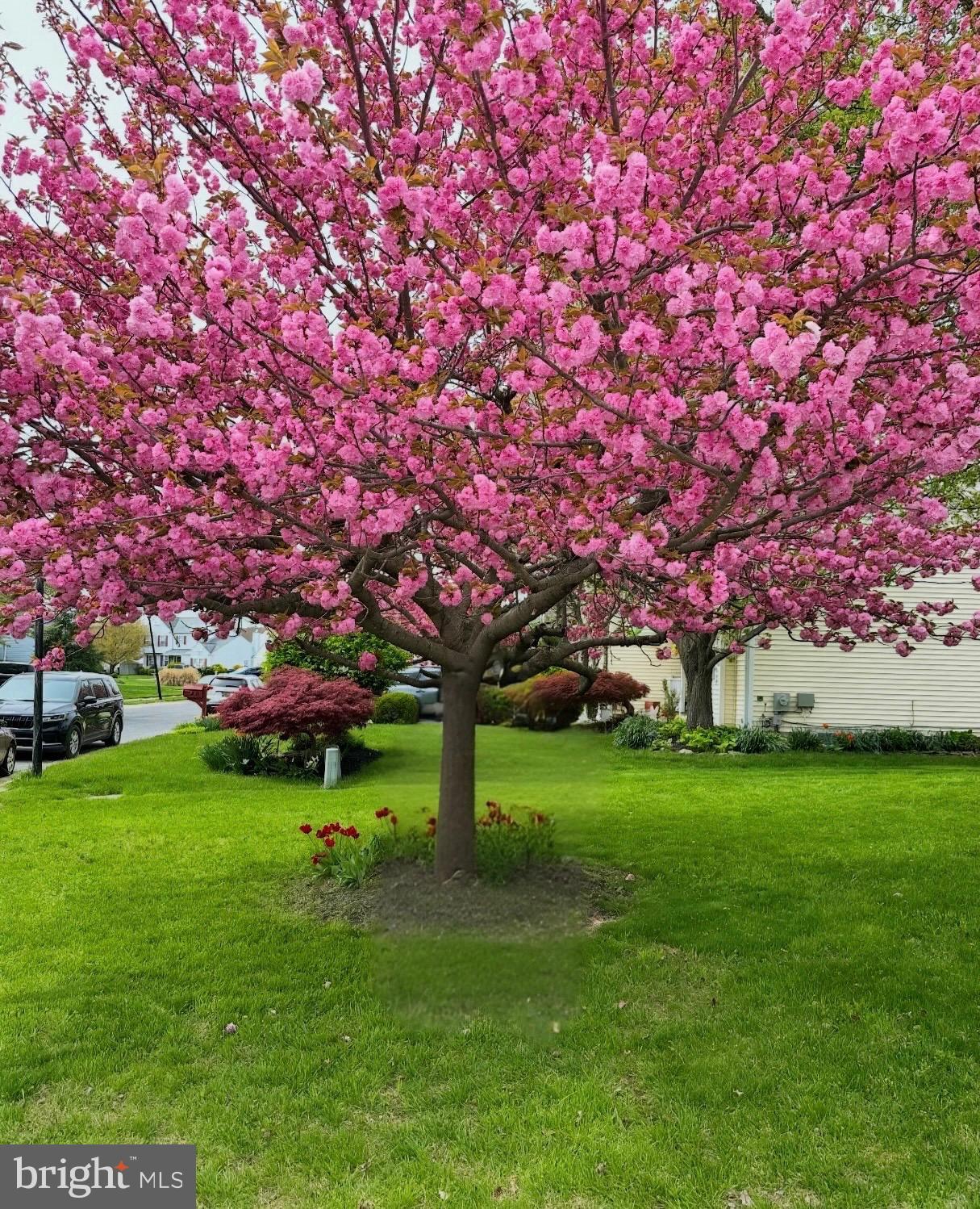 KENSINGTON - Residential