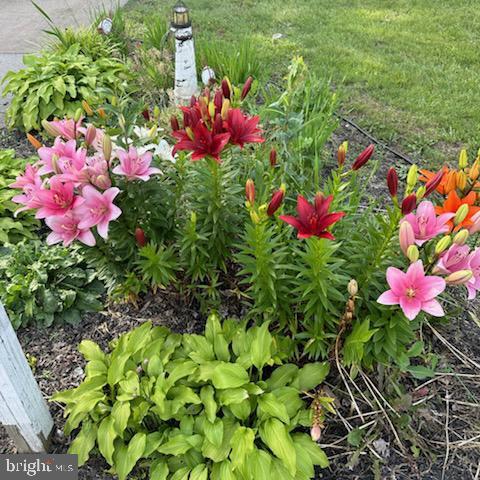 KENSINGTON - Residential