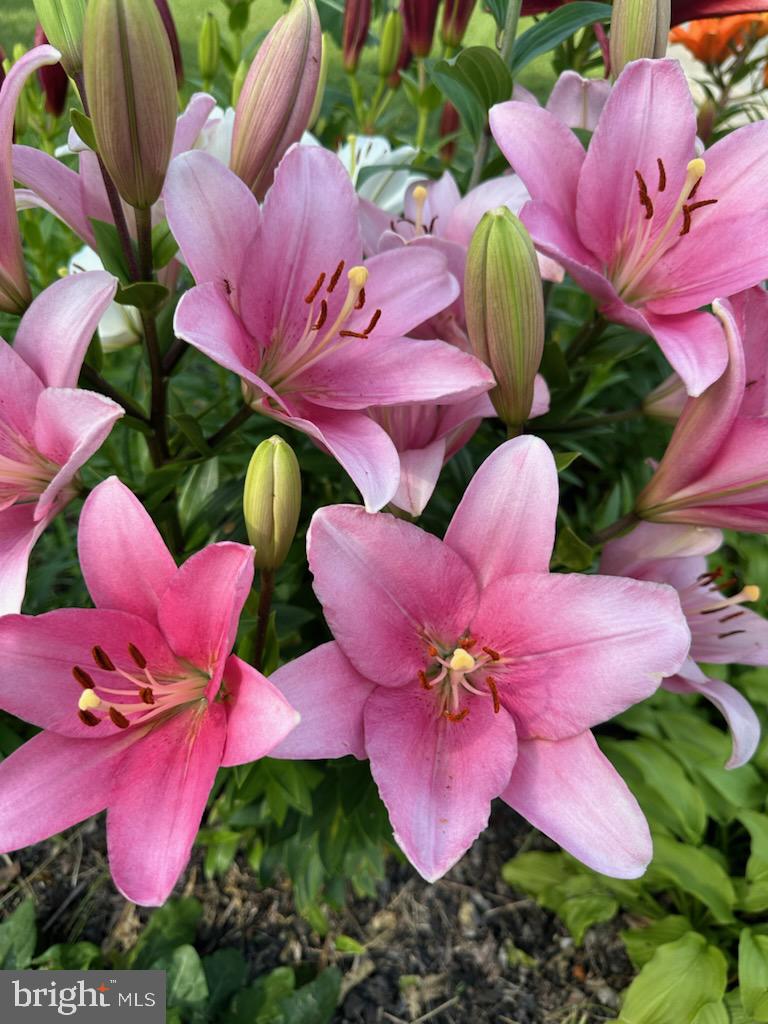 KENSINGTON - Residential