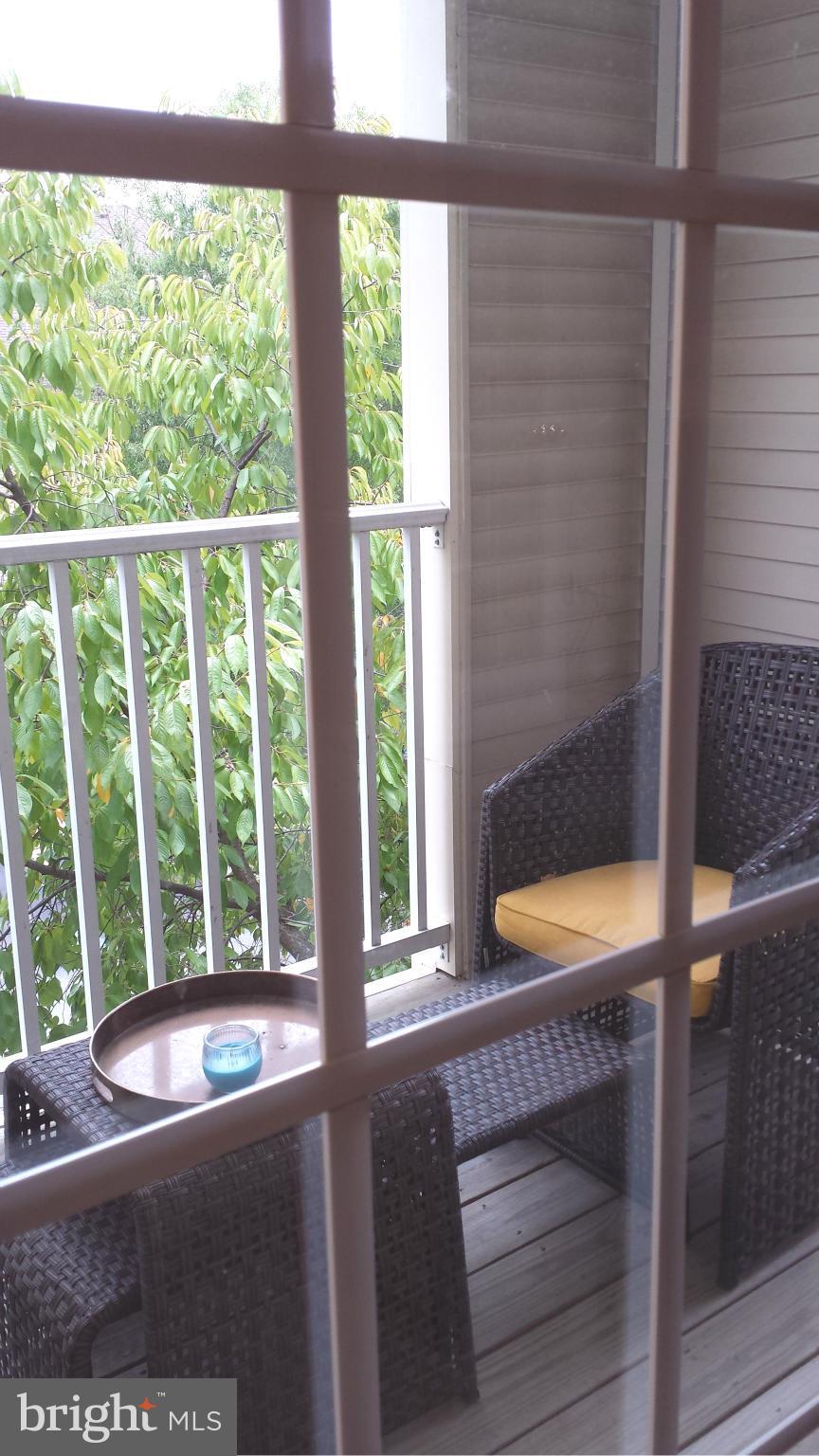 FOUNTAIN HILLS - Residential Lease