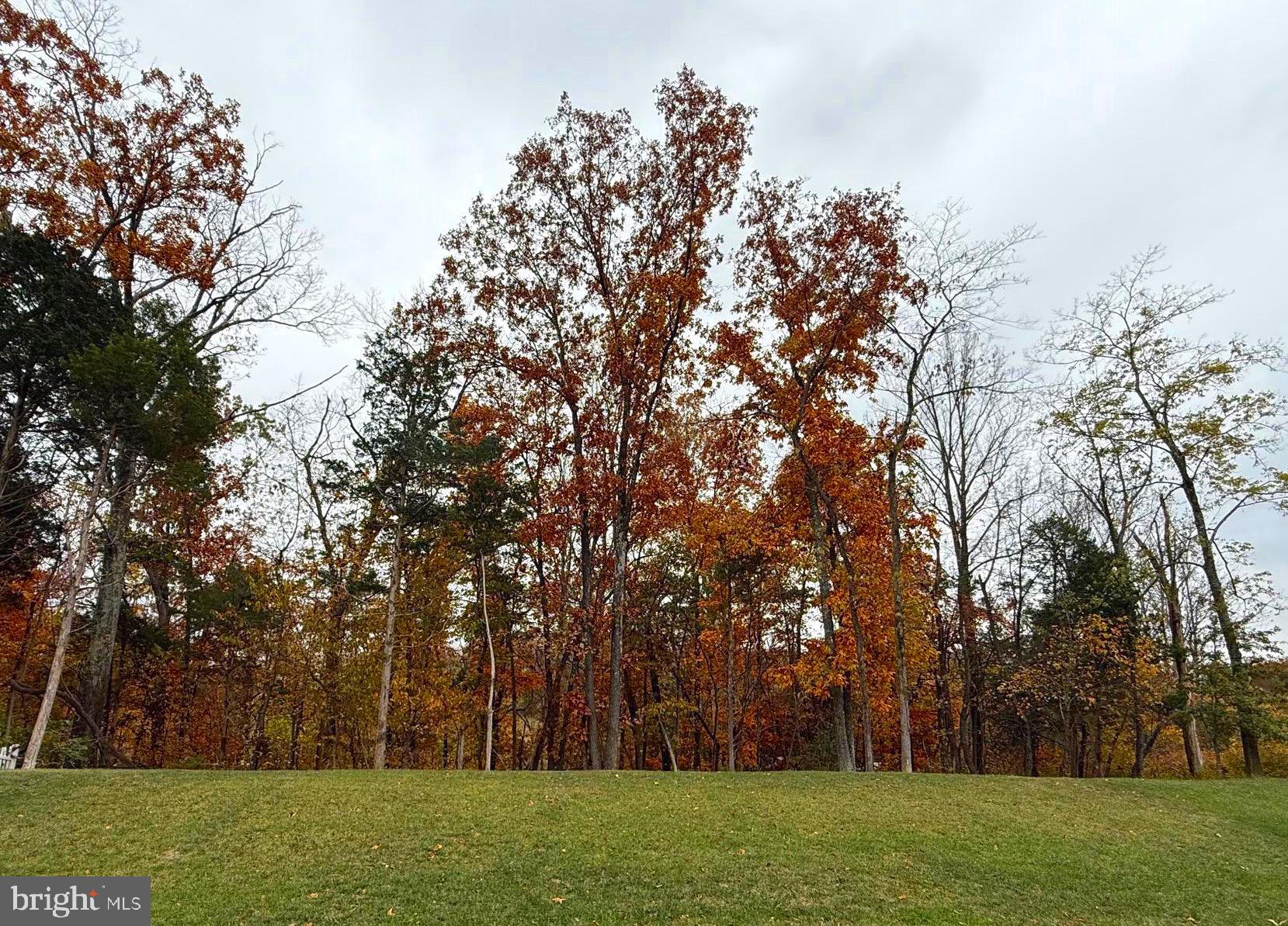 15117 HAYMARKET LANDING DRIVE