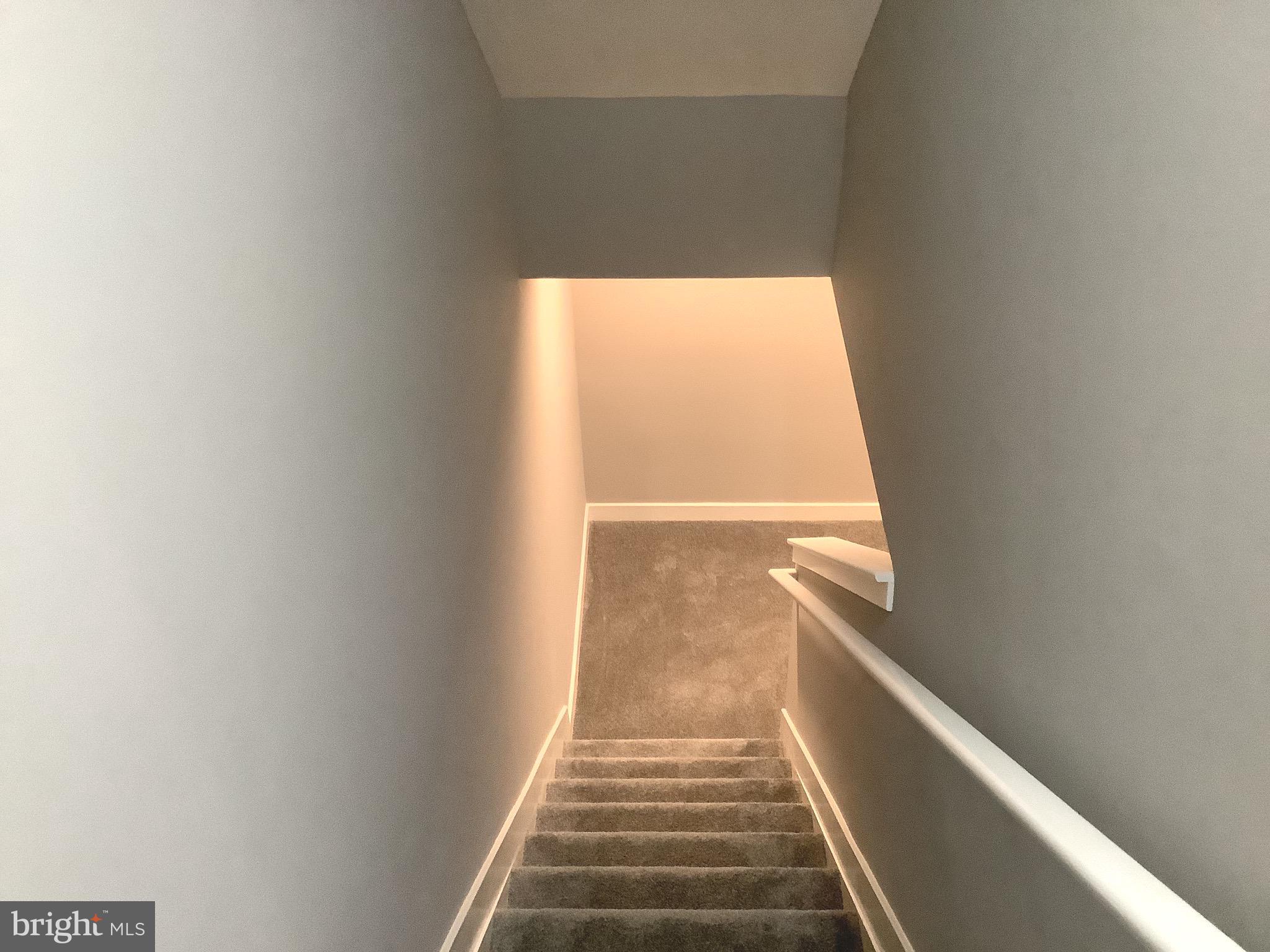 CHESTNUT WOODS - Residential