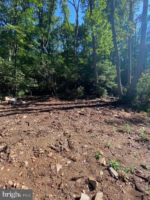 JACKSON MOUNTAIN ESTATES - Land