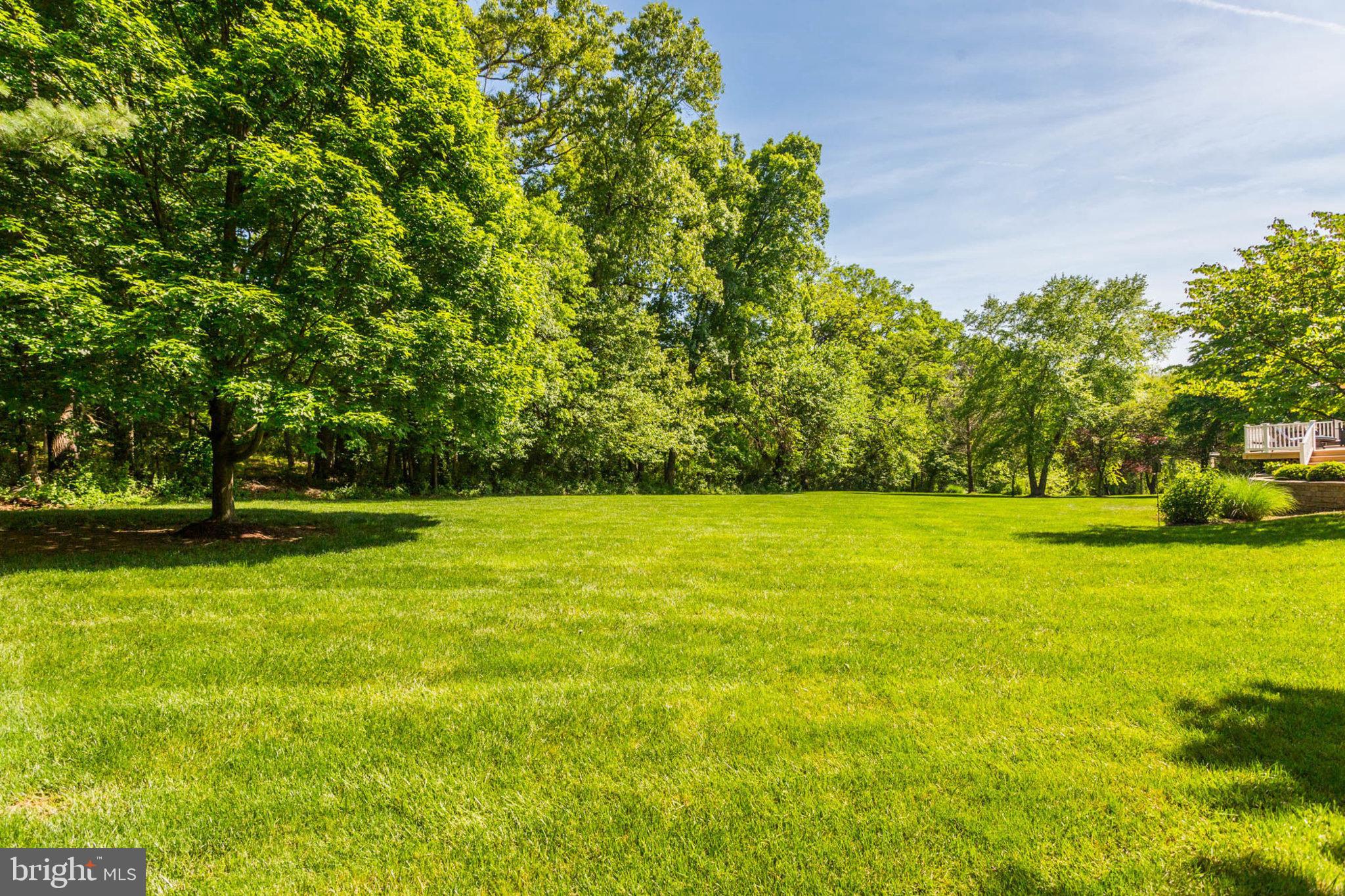 BIG BRANCH OVERLOOK - Residential