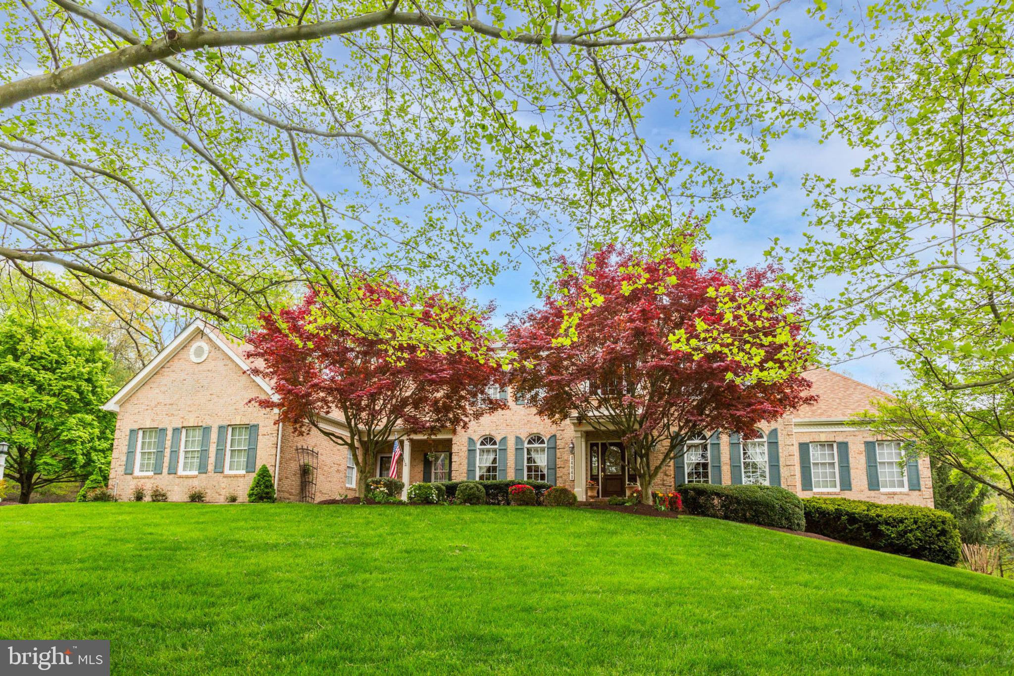 BIG BRANCH OVERLOOK - Residential