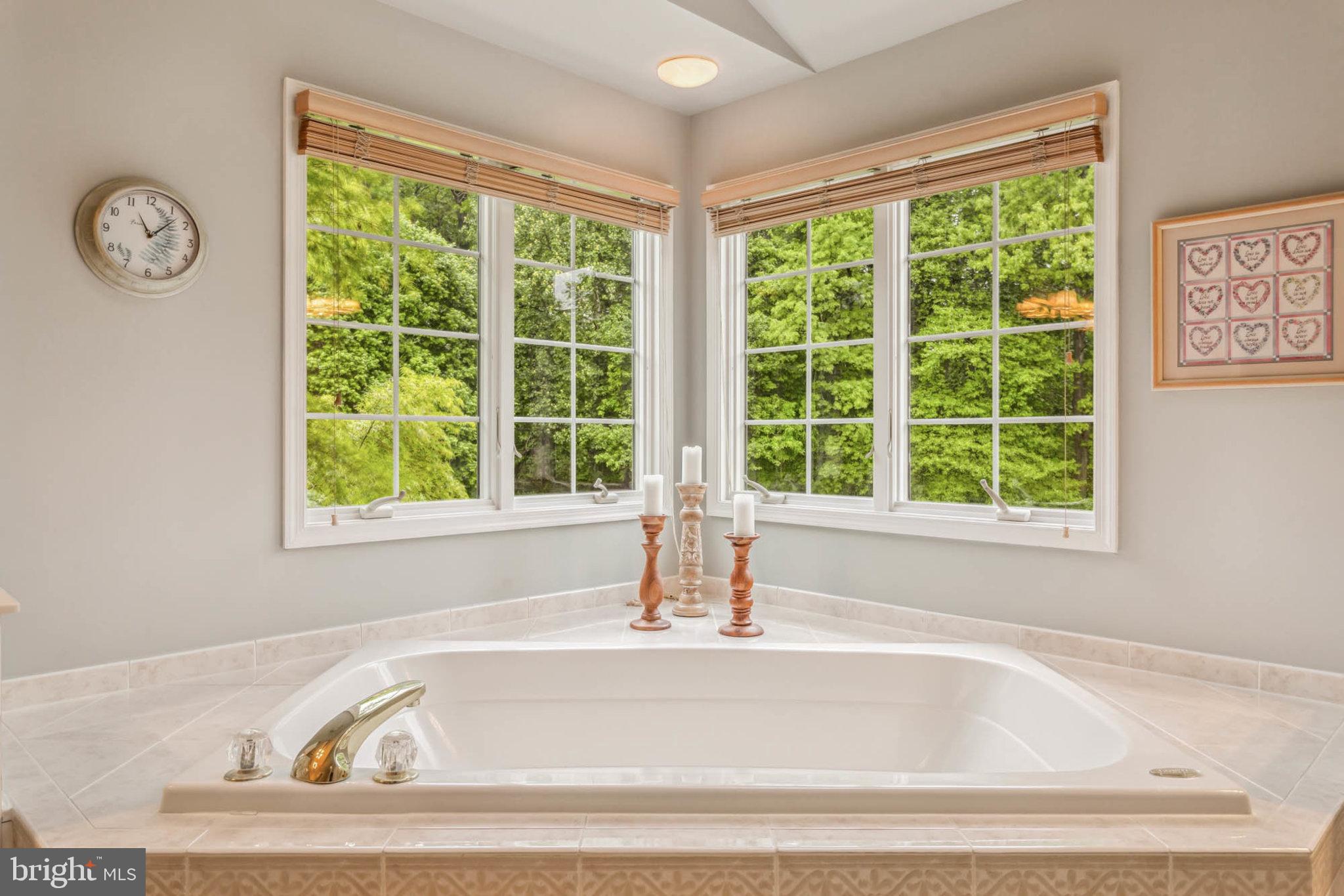 BIG BRANCH OVERLOOK - Residential