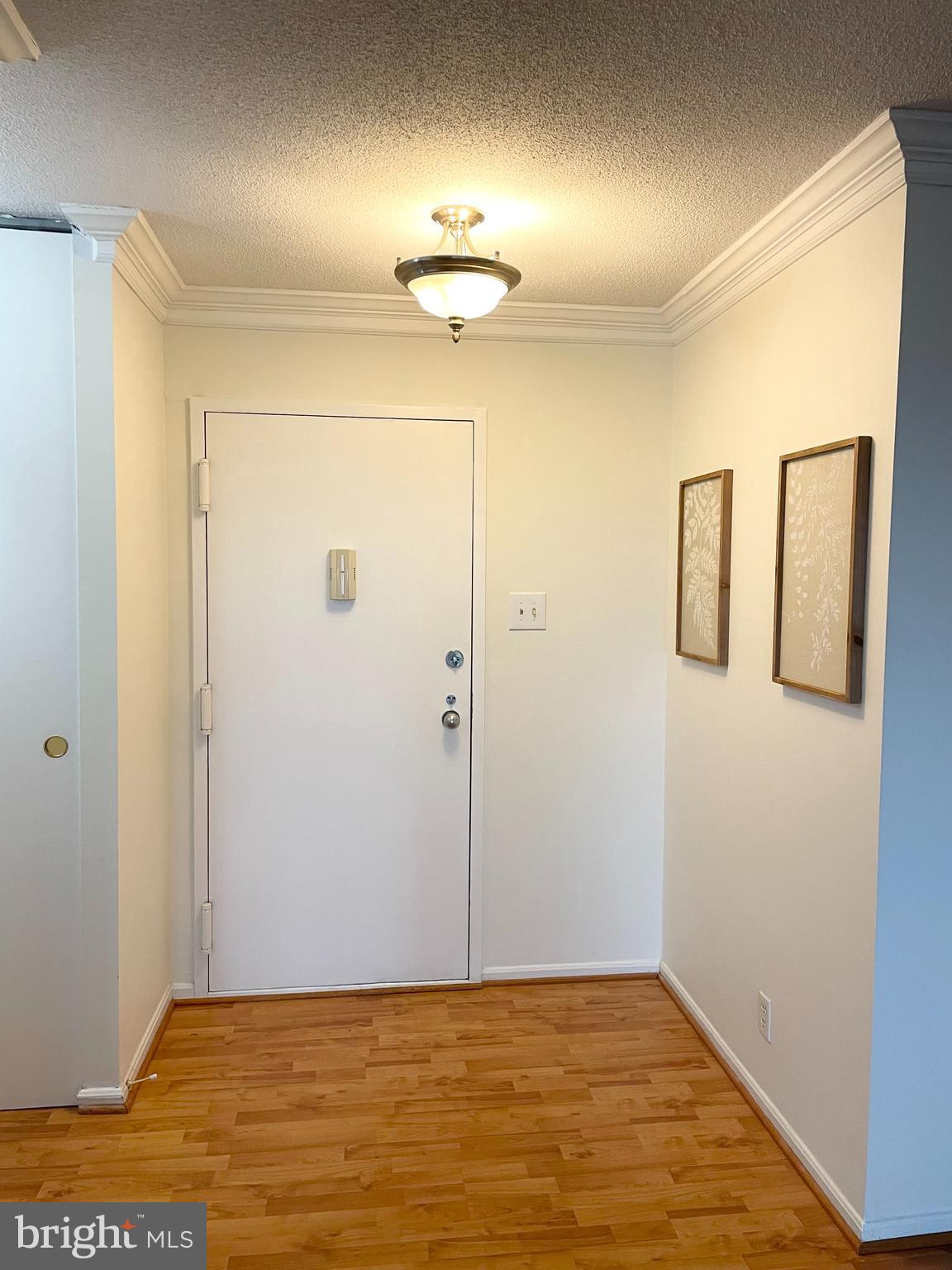 203 YOAKUM PARKWAY 1807