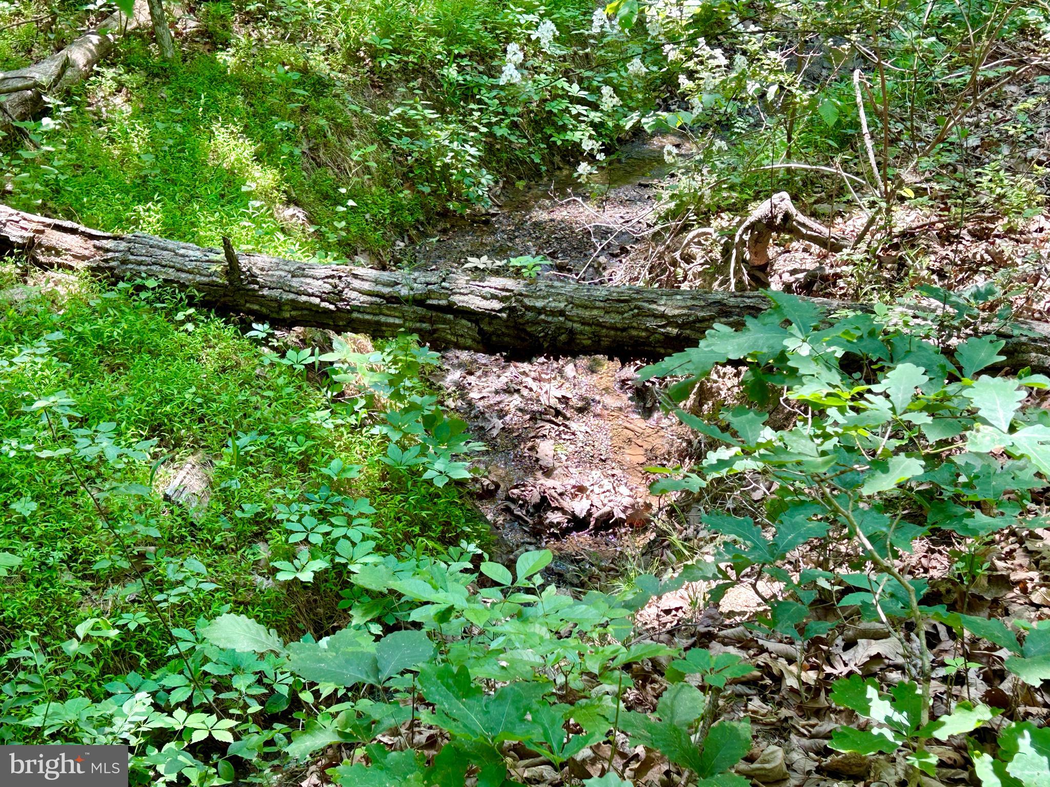 GLENWOOD FOREST - Land