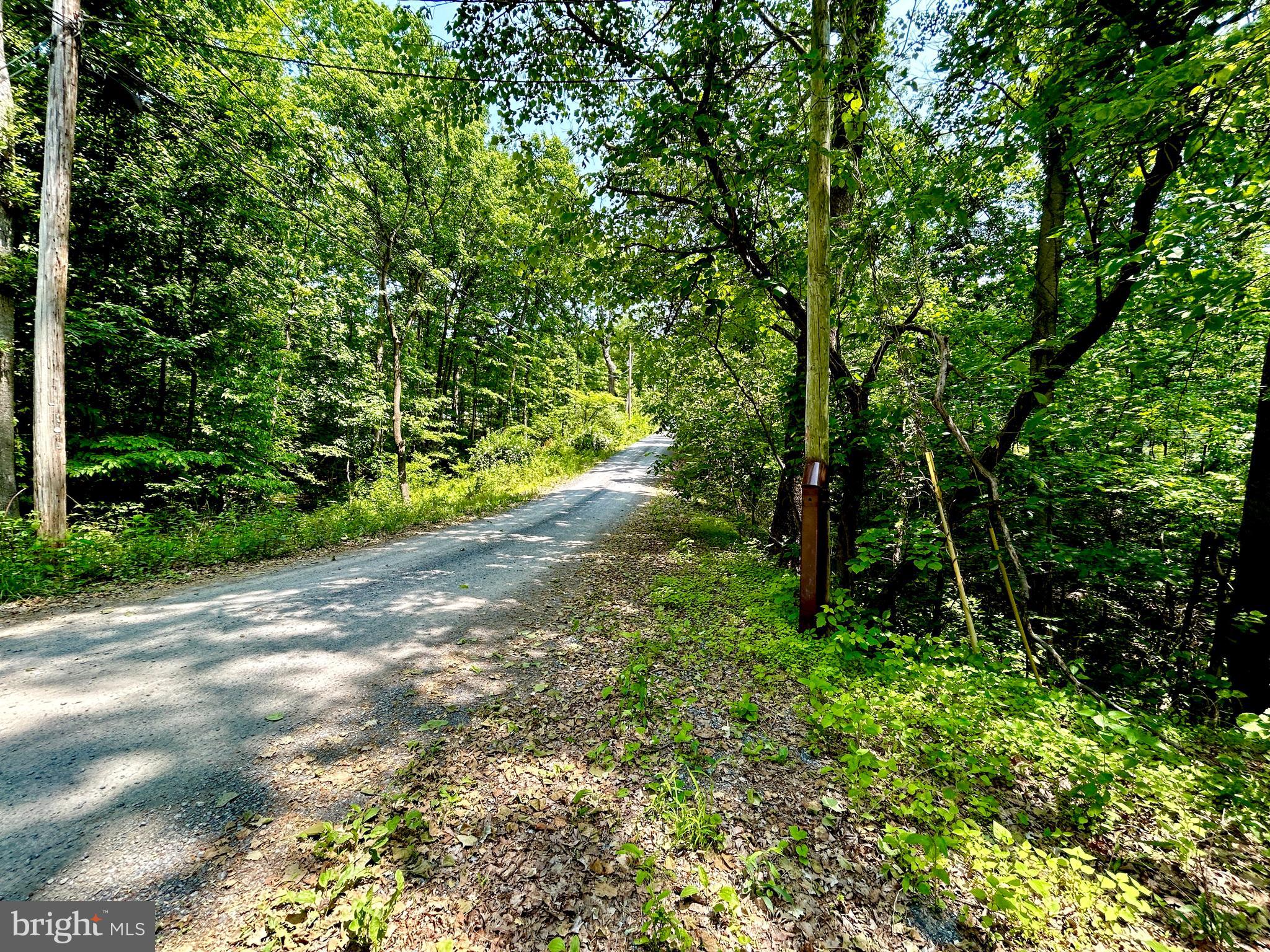 GLENWOOD FOREST - Land