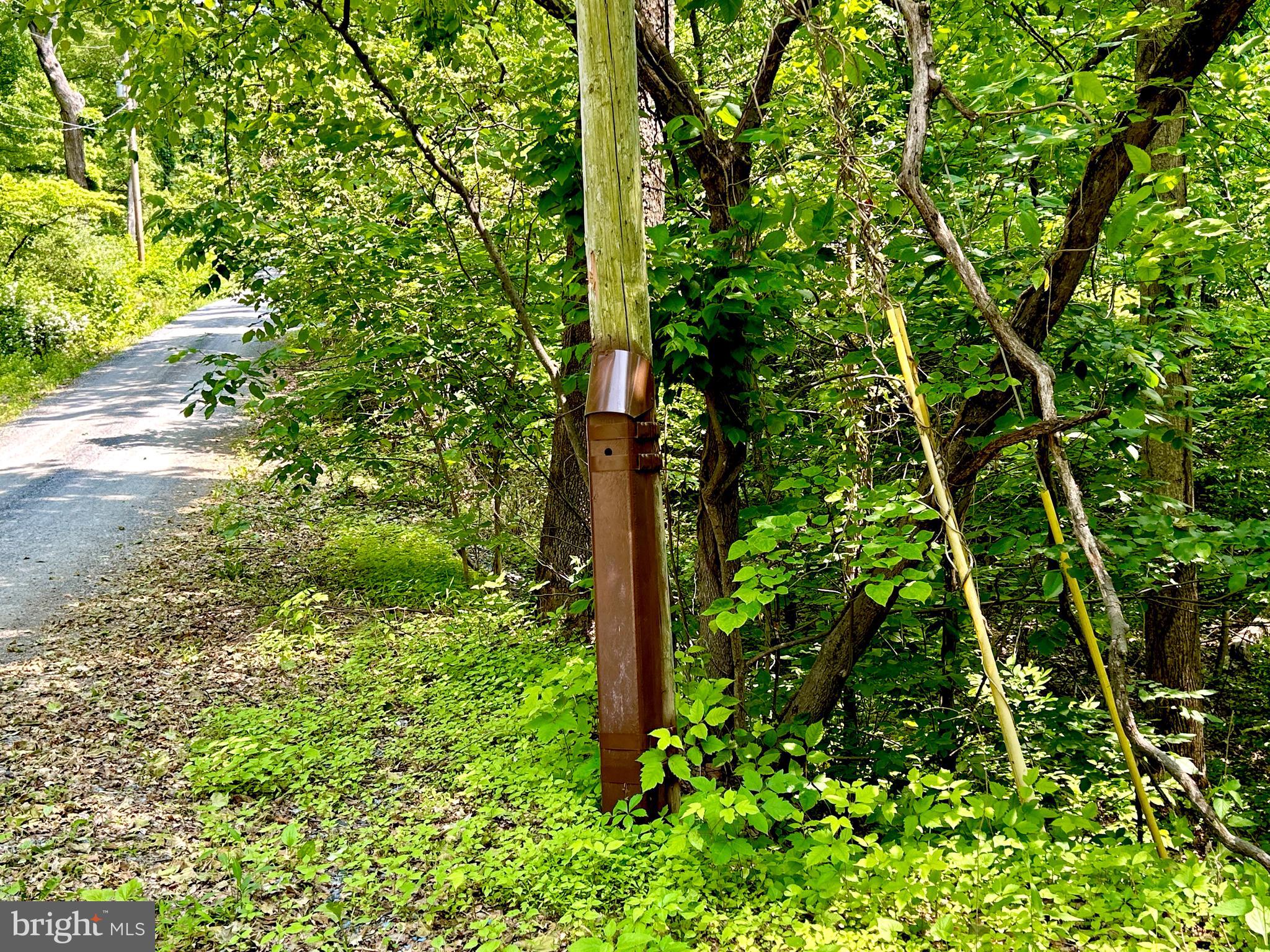 GLENWOOD FOREST - Land