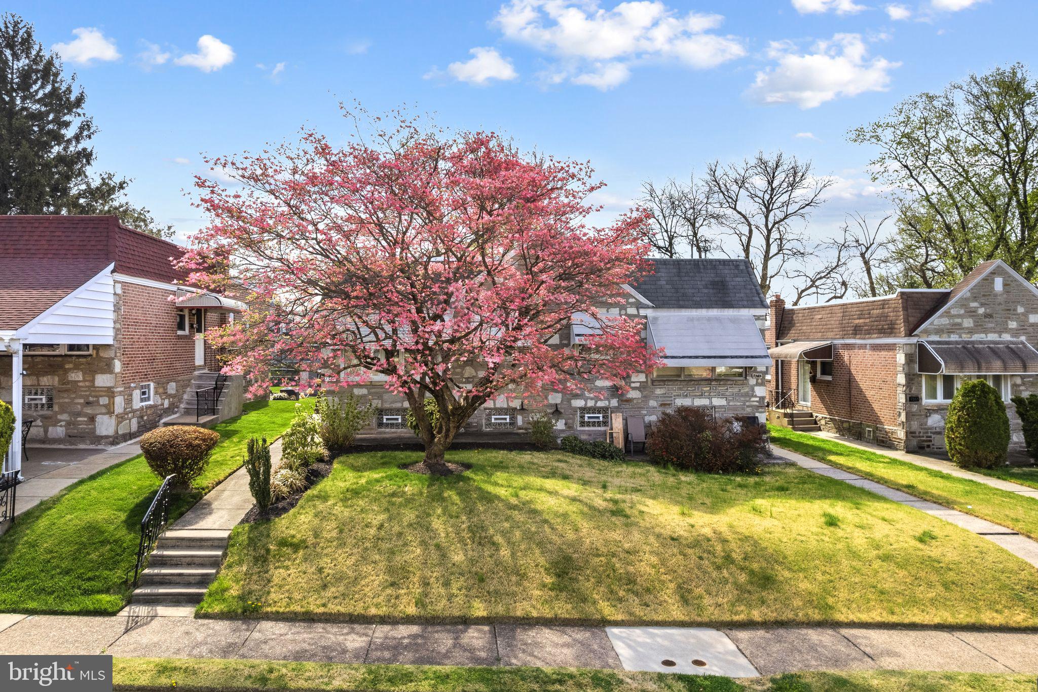 FOX CHASE - Residential