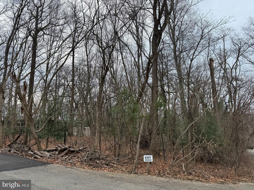 Situated on one of the most desirable streets in Penn Valley, this level, one-acre lot offers a rare opportunity to build your dream home in a serene and highly coveted setting. Surrounded by lush, mature trees, 41 Fairview Road provides exceptional privacy and a picturesque backdrop for a custom residence.
Bring your own builder and take advantage of the endless possibilities this expansive lot affords. Located within the award-winning Lower Merion School District, the property is also just minutes from outstanding dining, shopping, entertainment, major roadways, and public transportation—making for an easy commute to Center City and beyond. A truly exceptional offering in an unbeatable location.