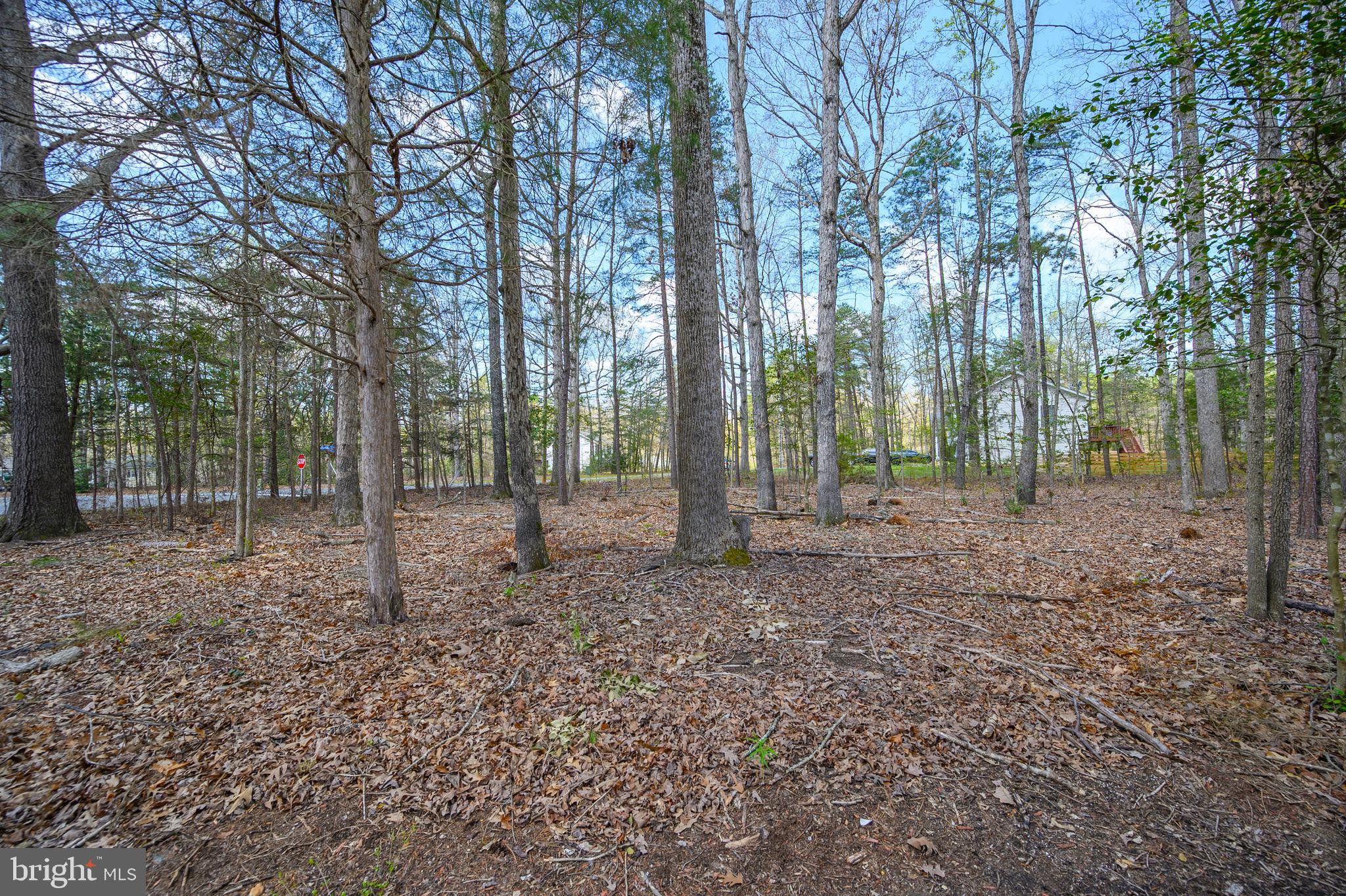 LAKE LAND OR - Residential