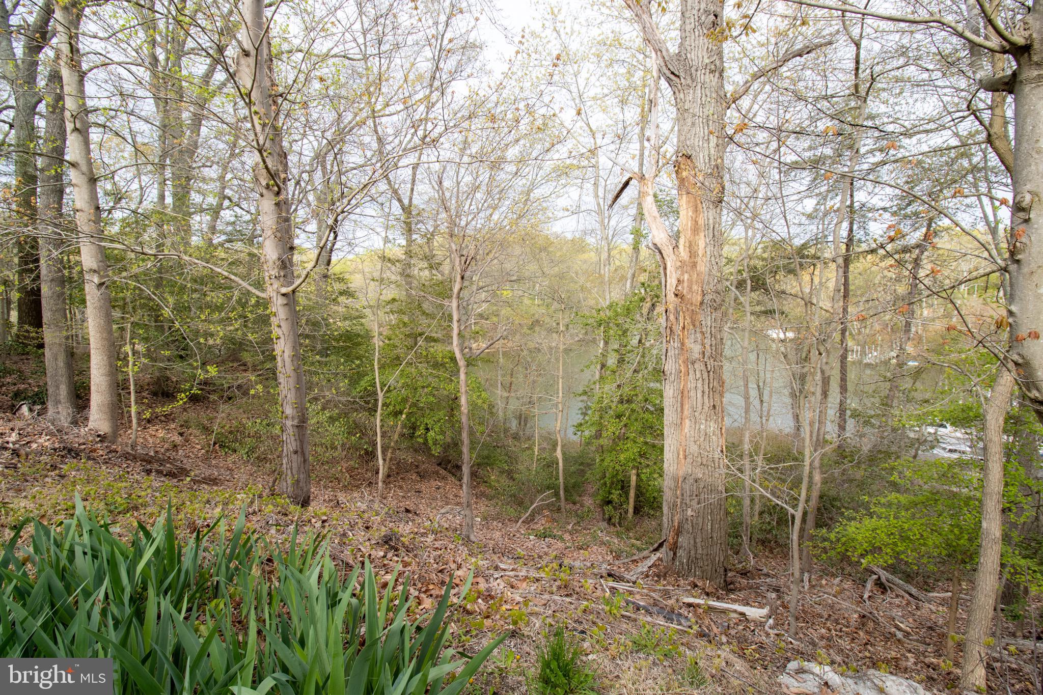 ST MARYS BEACH - Residential