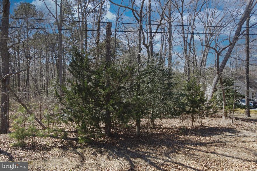 4/1856 Does sitting on you back deck or gazebo looking out over the water as the sunshine glistens over the water while the wildlife live and feed interest you? Then consider this oversized wooded lot (16,624 sq ft.,) with approx. 70’ of pond-frontage, 3 BR Cert Letter on File. Lot has water & ESVBA availability. This lot is in a highly sought after area of Captains Cove…backs to Lake Ernie for additional privacy, close to the entrance. Buy now and build later, no time frame to build, no builder tie-in, just enjoy all the amenities and the lifestyle on the Eastern Shore of VA. Close to Chincoteague Island, Wallops Island and Ocean City MD. HOA amenities; 9 -golf, indoor/outdoor pools (2), fitness center, basketball & pickle-ball courts, boat ramp, biking & walking trails, security & more.