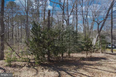 Vacant Land For Sale - 1856 Captains Corridor<br/> GREENBACKVILLE, VA 23356