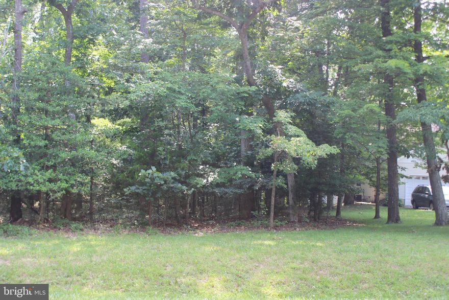 4/1856 Does sitting on you back deck or gazebo looking out over the water as the sunshine glistens over the water while the wildlife live and feed interest you? Then consider this oversized wooded lot (16,624 sq ft.,) with approx. 70’ of pond-frontage, 3 BR Cert Letter on File. Lot has water & ESVBA availability. This lot is in a highly sought after area of Captains Cove…backs to Lake Ernie for additional privacy, close to the entrance. Buy now and build later, no time frame to build, no builder tie-in, just enjoy all the amenities and the lifestyle on the Eastern Shore of VA. Close to Chincoteague Island, Wallops Island and Ocean City MD. HOA amenities; 9 -golf, indoor/outdoor pools (2), fitness center, basketball & pickle-ball courts, boat ramp, biking & walking trails, security & more.