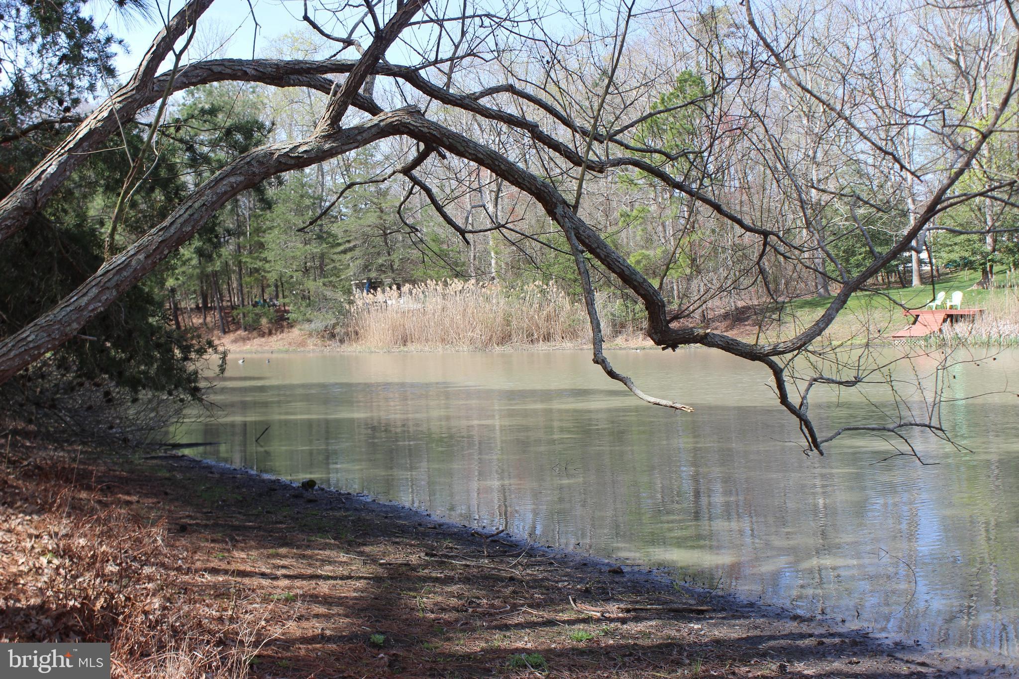 CAPTAIN'S COVE - Land